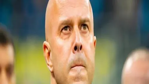 星际娱乐 资讯 101049 zrd