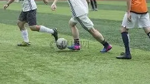 上海女排击败保定队，新年首胜圆满取得